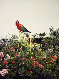 Tio Stuhl, March Yellow -Lassen Sie Ihre Gartenmöbel fließen. 01 MASSPRODUCTIONS 200 kopiera scaled 1