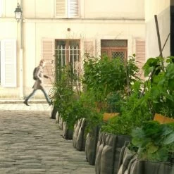 Bacsquare 4 Stoffpflanzgefäß, 140 l, Geotextil 11 Bacsquare 4 Stoffpflanzgefäß, 140 l, Geotextil -Lassen Sie Ihre Gartenmöbel fließen. 15Bacsac iso 2