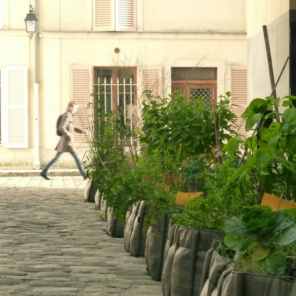 Bacsquare 4 Stoffpflanzgefäß, 140 l, Geotextil 6 Bacsquare 4 Stoffpflanzgefäß, 140 l, Geotextil – Bild 4