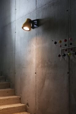 Martinelli Luce Frog Outdoor Wandleuchte, Gelb -Lassen Sie Ihre Gartenmöbel fließen. 20210611102731 9c5d1f40 me