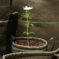 Blumentopf, 10 l, Geotextil -Lassen Sie Ihre Gartenmöbel fließen. 25Bacsac iso 1