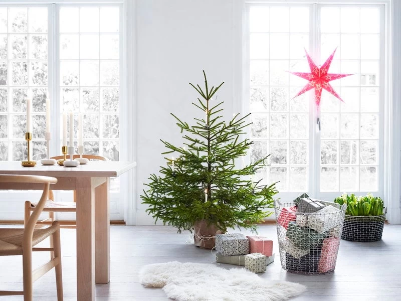 Korbo Planting Bag 35, 3 Stück 5 Korbo Planting Bag 35, 3 Stück – Bild 3