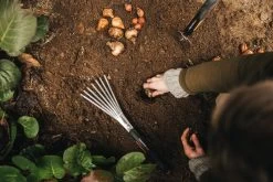 Fiskars Xact Grubber -Lassen Sie Ihre Gartenmöbel fließen. Fiskars Garden Action Xact Trowel Hand rake 1027043 1027044 1