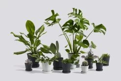 Hay Blumentopf Und Untersetzer, M, Grau -Lassen Sie Ihre Gartenmöbel fließen. Flowerpot Family 5