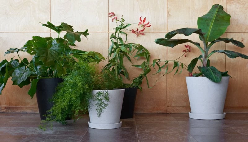 Hay Blumentopf Und Untertasse, XXXL, Schwarz 4 Hay Blumentopf Und Untertasse, XXXL, Schwarz – Bild 2