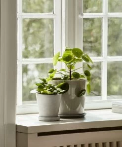 Hay Botanical Family Blumentopf Mit Untersetzer, L, Hellgrau -Lassen Sie Ihre Gartenmöbel fließen. Flowerpot with Saucer grey Botanical Family light grey