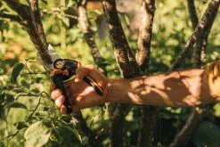 Fiskars X-Series Bypass-Astschere L, P961 -Lassen Sie Ihre Gartenmöbel fließen. Gardening Action X Series Pruner Bypass P961 1057175 01