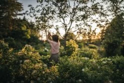 Fiskars X-Series Bypass-Astschere L, P961 -Lassen Sie Ihre Gartenmöbel fließen. Gardening Action X Series Pruner Bypass P961 1057175 06