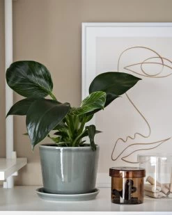 Hay Botanical Family Blumentopf Mit Untersetzer, M, Salbeigrün -Lassen Sie Ihre Gartenmöbel fließen. Home Office Design Stories x My Full House 13