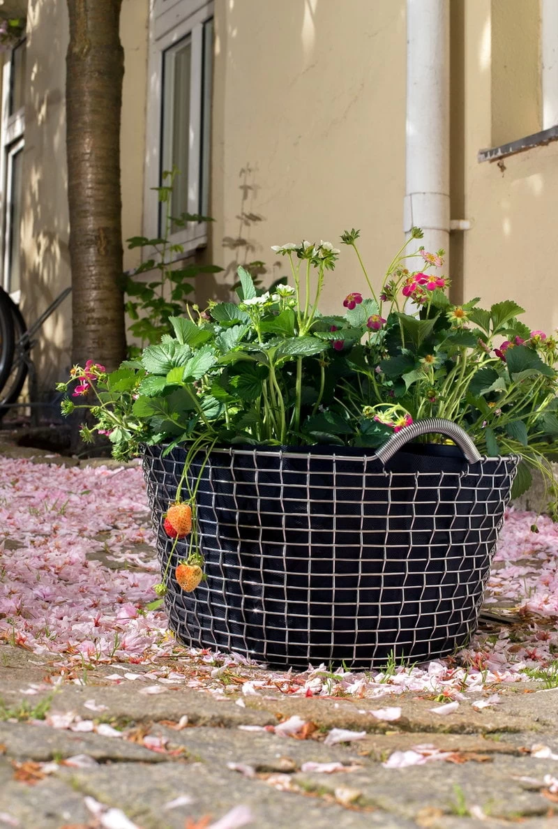 Korbo Planting Bag 35, 3 Stück 4 Korbo Planting Bag 35, 3 Stück – Bild 2