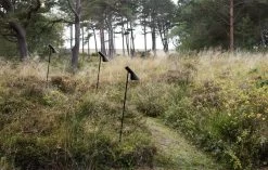 Louis Poulsen AJ Garden Wegeleuchte, Lang, 3000 K, Erdspieß Mit Adapter -Lassen Sie Ihre Gartenmöbel fließen. SS23 AJ Garden Tall 3 10010role 1