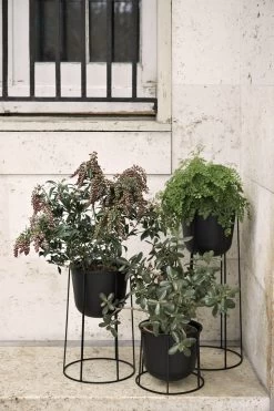 Menu Wire Gestell, Groß, Schwarz -Lassen Sie Ihre Gartenmöbel fließen. Wire Pot Location 01 Download 300dpi JPG 28RGB29 228846