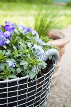 Korbo Planting Bag 24, 3 Stück -Lassen Sie Ihre Gartenmöbel fließen. korbo Classic 24 Pansy